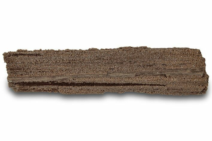 Permineralized Wood Covered In Sparkling Quartz - Germany #307001